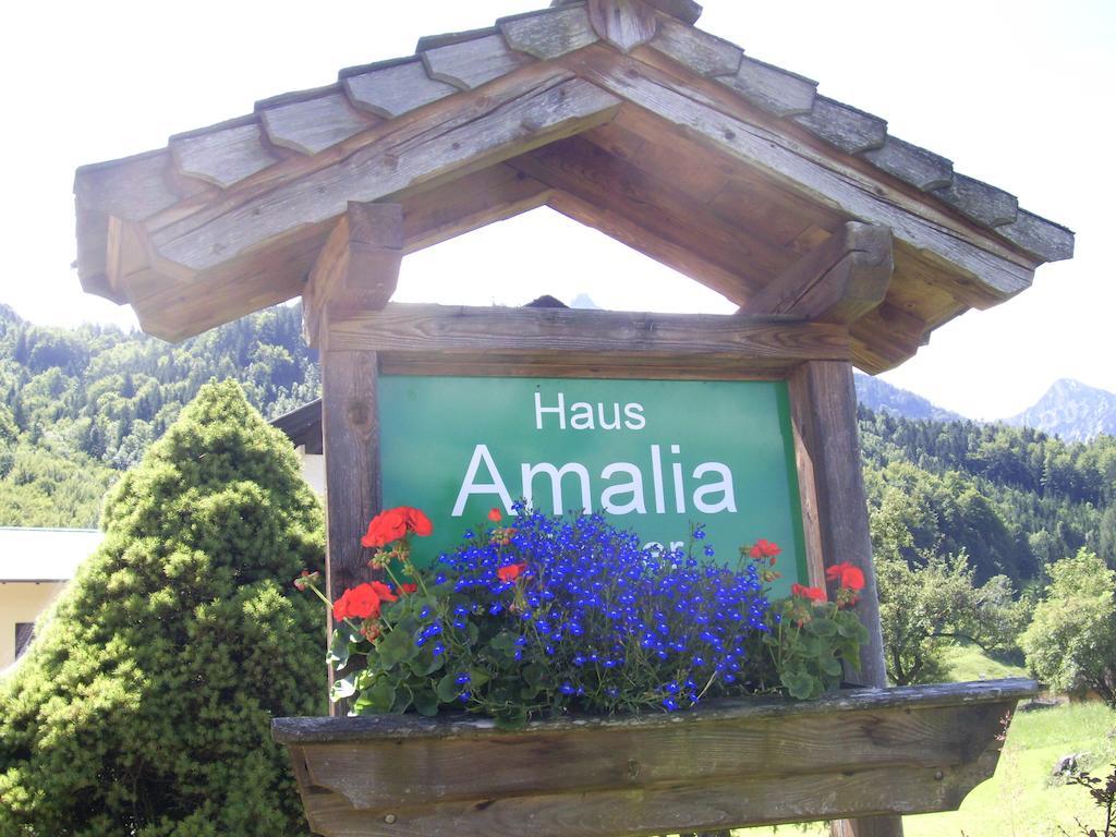 Bed and Breakfast Haus Amalia à Strobl Extérieur photo